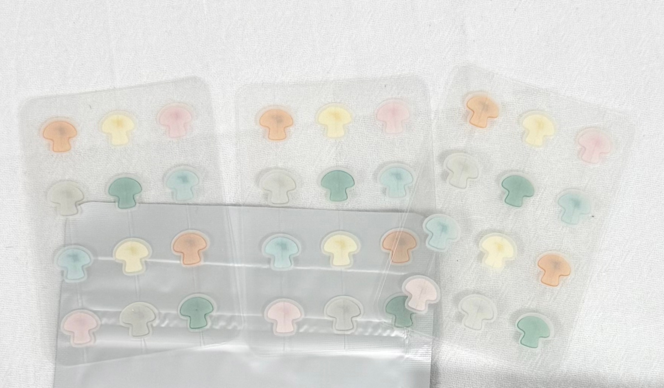 款5 副本